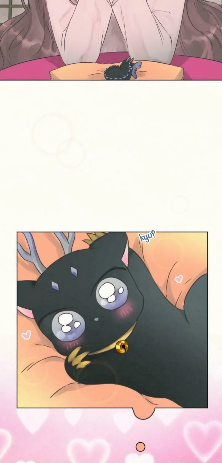 The Baby Dragon and the Rabbit Spirit Chapter 1 page 64 - 