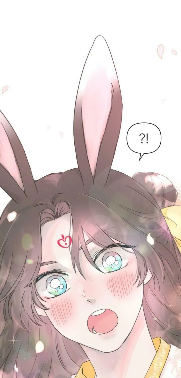 The Baby Dragon and the Rabbit Spirit Chapter 1 page 10 - 