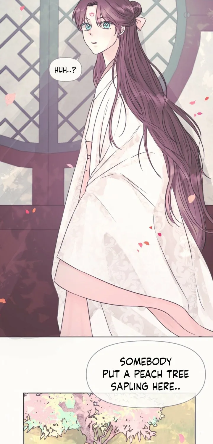 The Baby Dragon and the Rabbit Spirit Chapter 2 page 27 - 