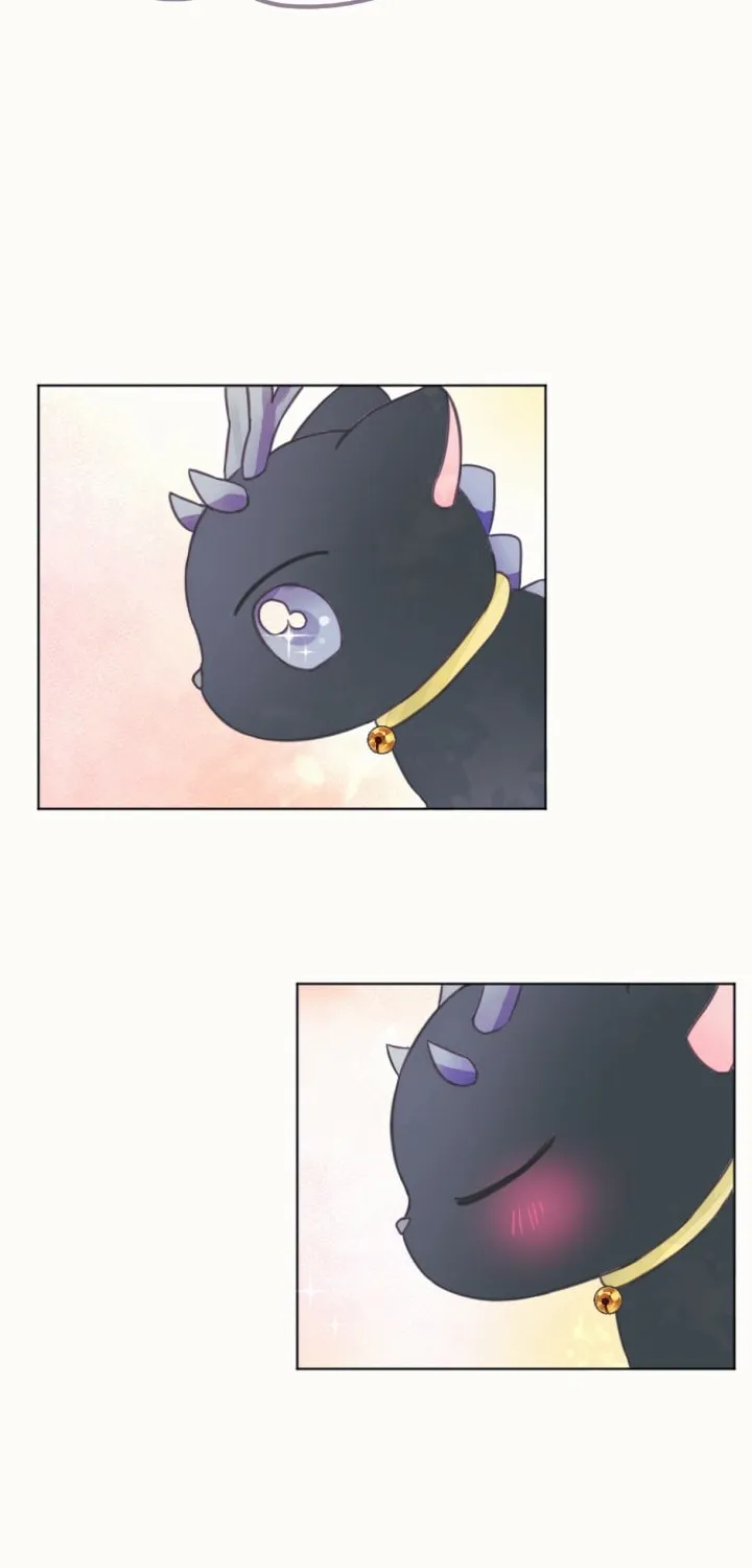 The Baby Dragon and the Rabbit Spirit Chapter 2 page 34 - 