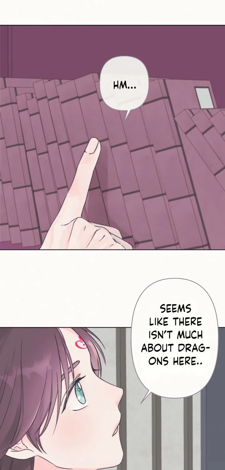 The Baby Dragon and the Rabbit Spirit Chapter 2 page 36 - 