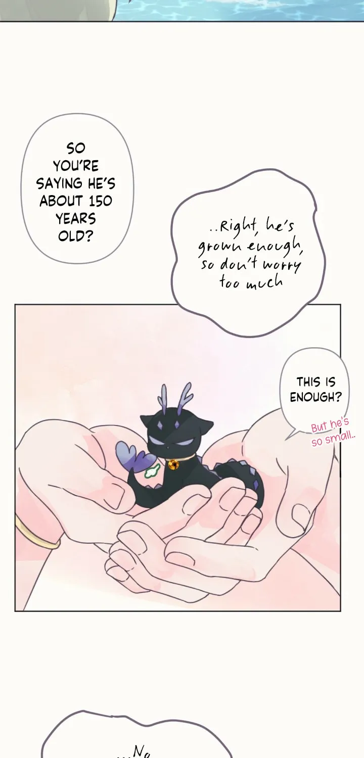 The Baby Dragon and the Rabbit Spirit Chapter 2 page 61 - 