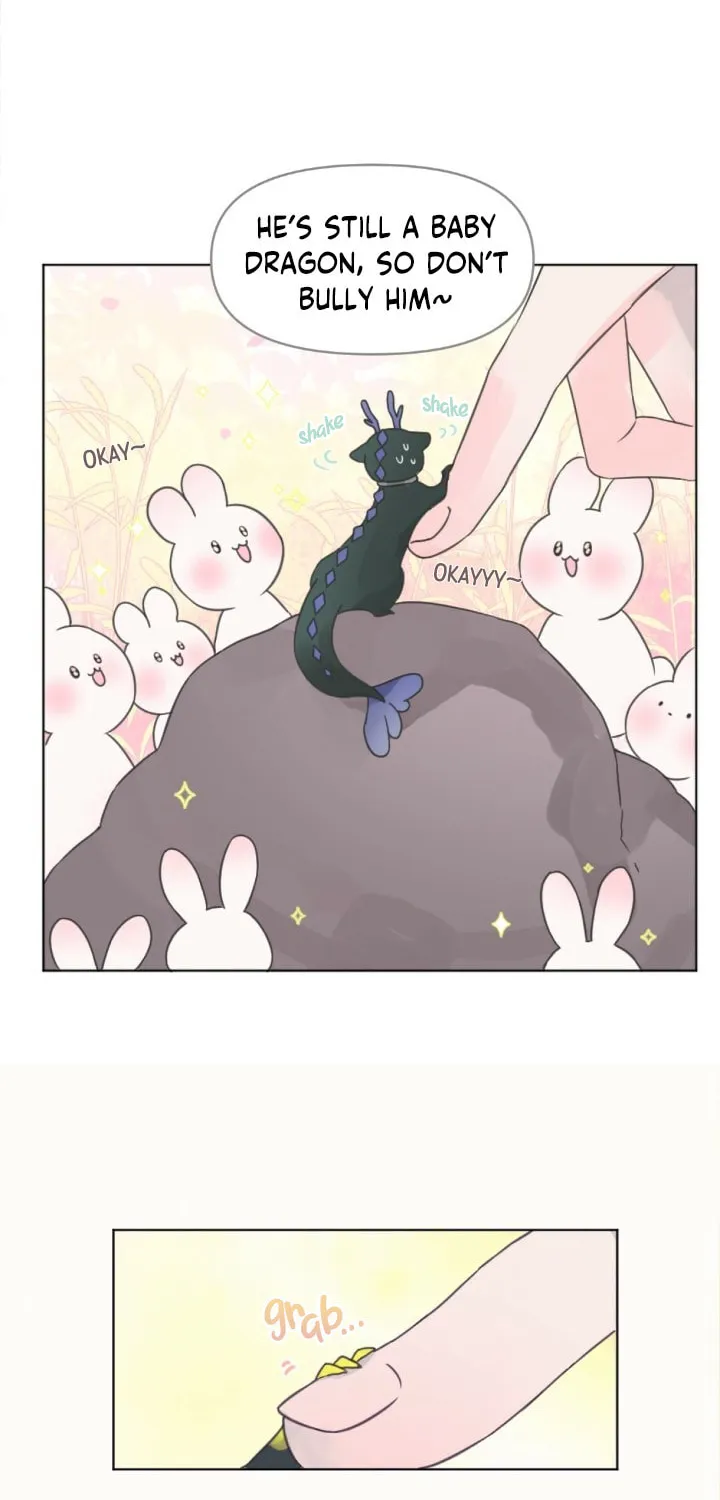 The Baby Dragon and the Rabbit Spirit Chapter 3 page 14 - 