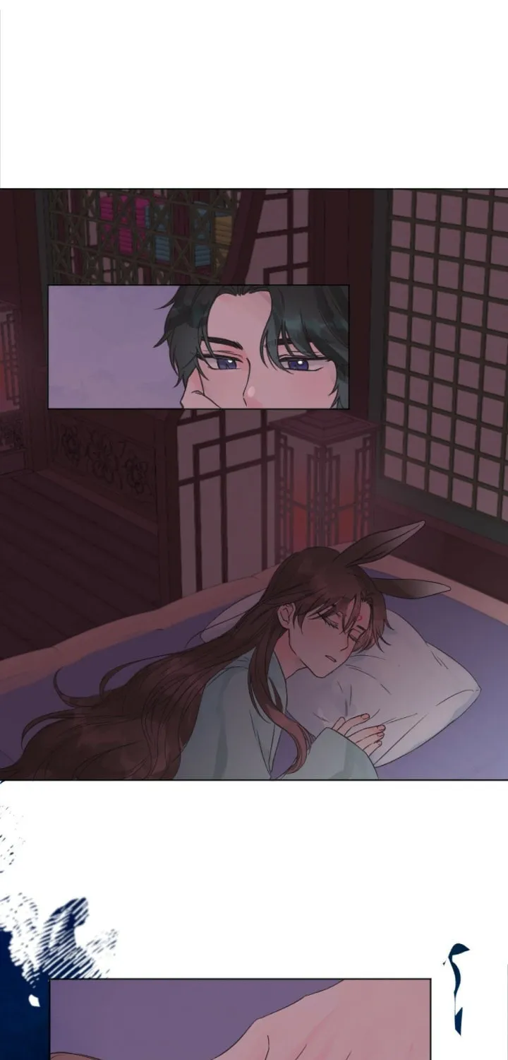 The Baby Dragon and the Rabbit Spirit Chapter 3 page 3 - 