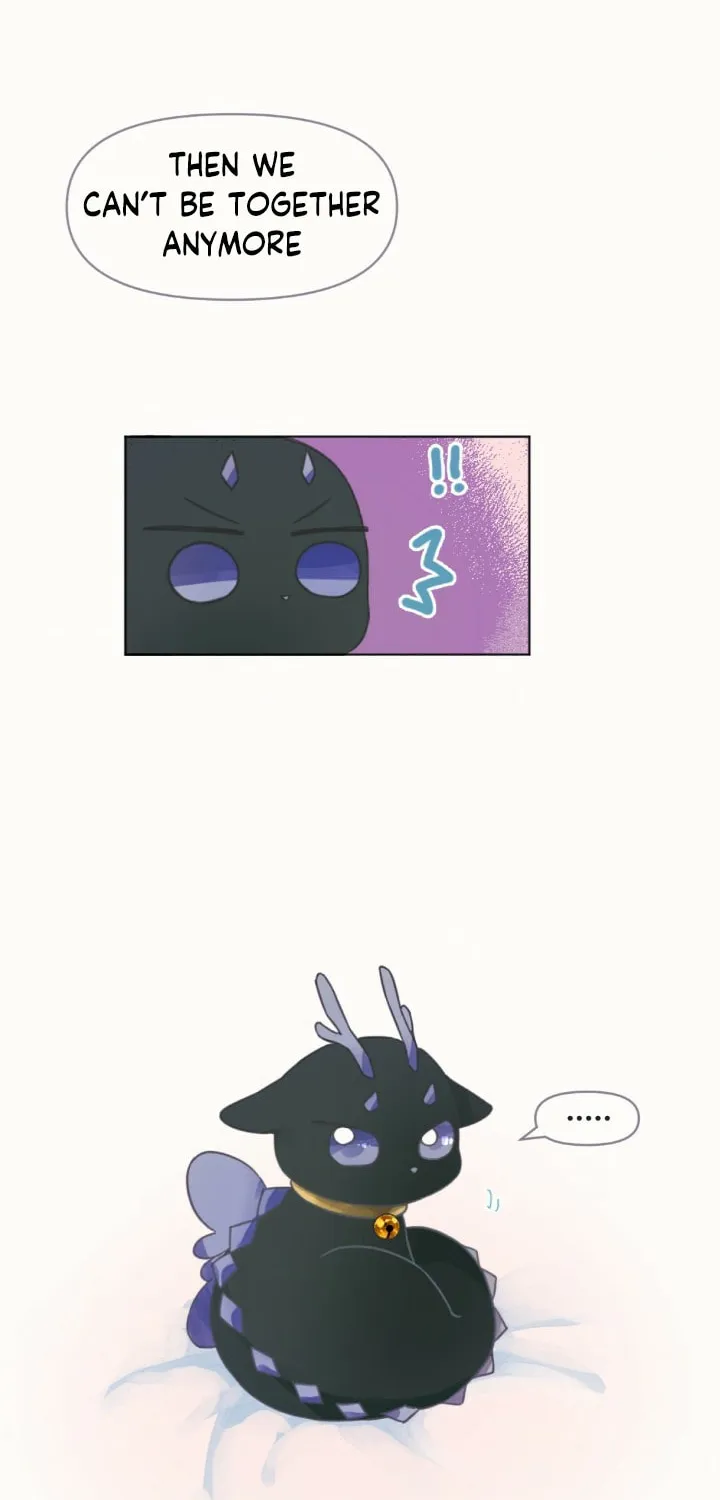 The Baby Dragon and the Rabbit Spirit Chapter 3 page 39 - 