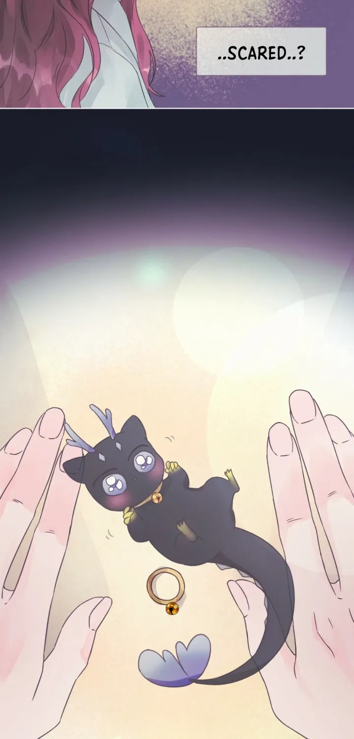 The Baby Dragon and the Rabbit Spirit Chapter 3 page 52 - 
