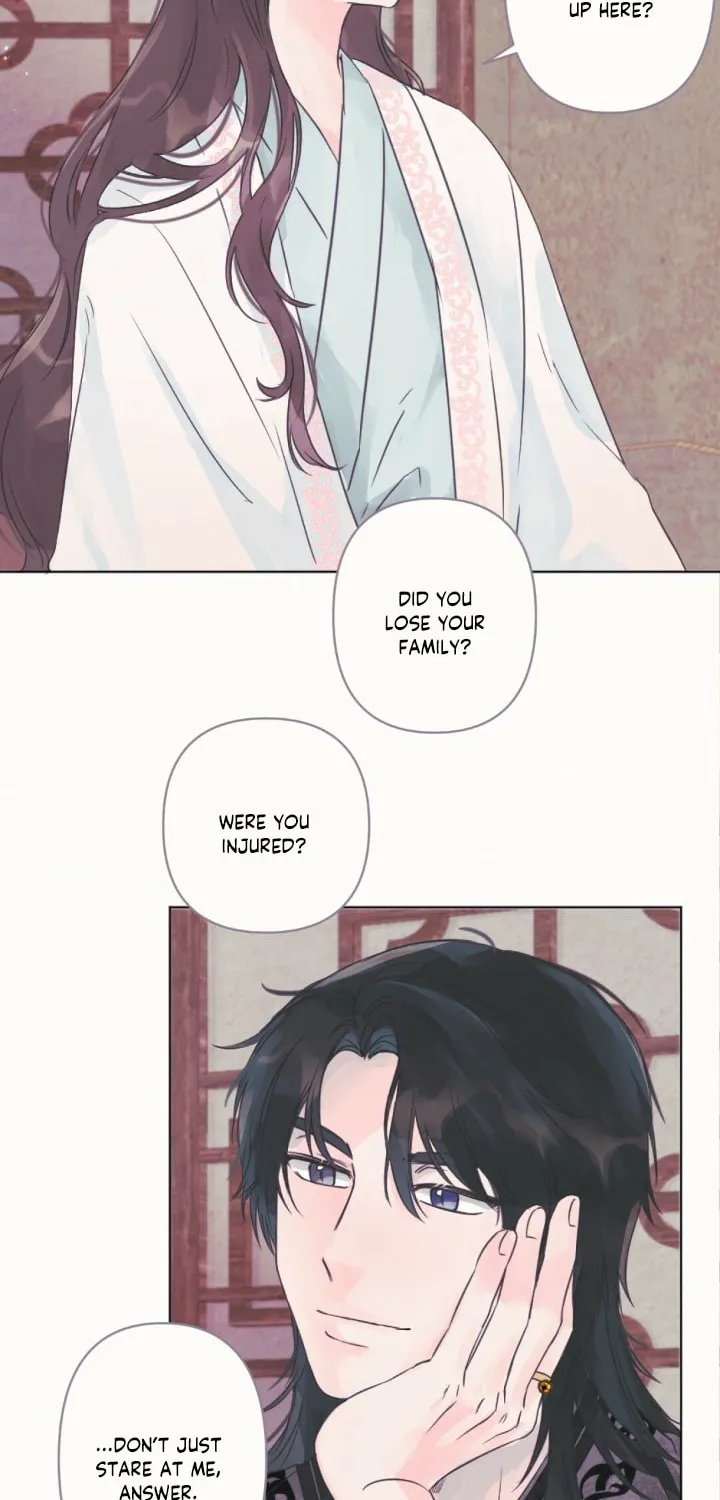 The Baby Dragon and the Rabbit Spirit Chapter 4 page 38 - 