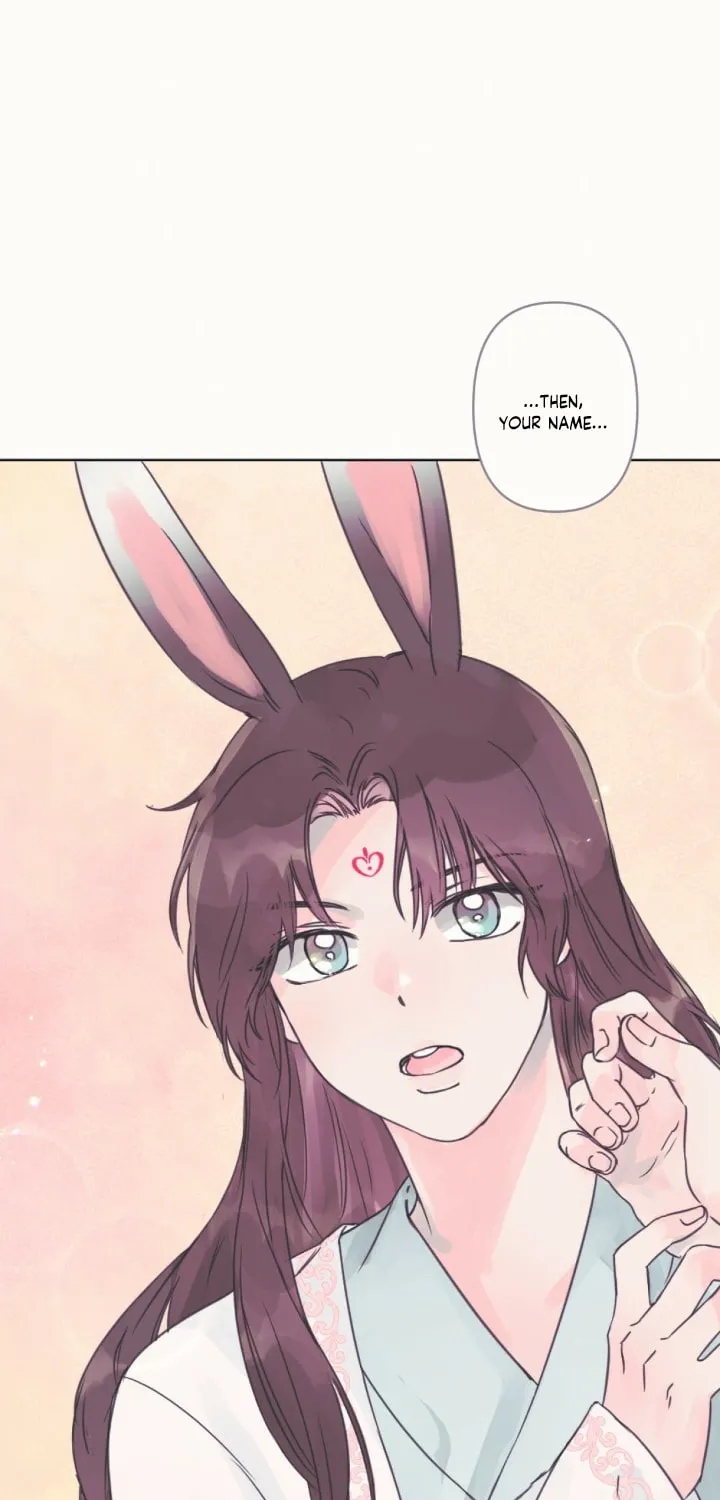 The Baby Dragon and the Rabbit Spirit Chapter 4 page 43 - 