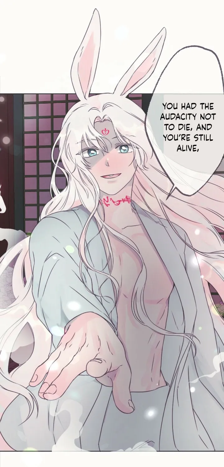 The Baby Dragon and the Rabbit Spirit Chapter 6 page 65 - 
