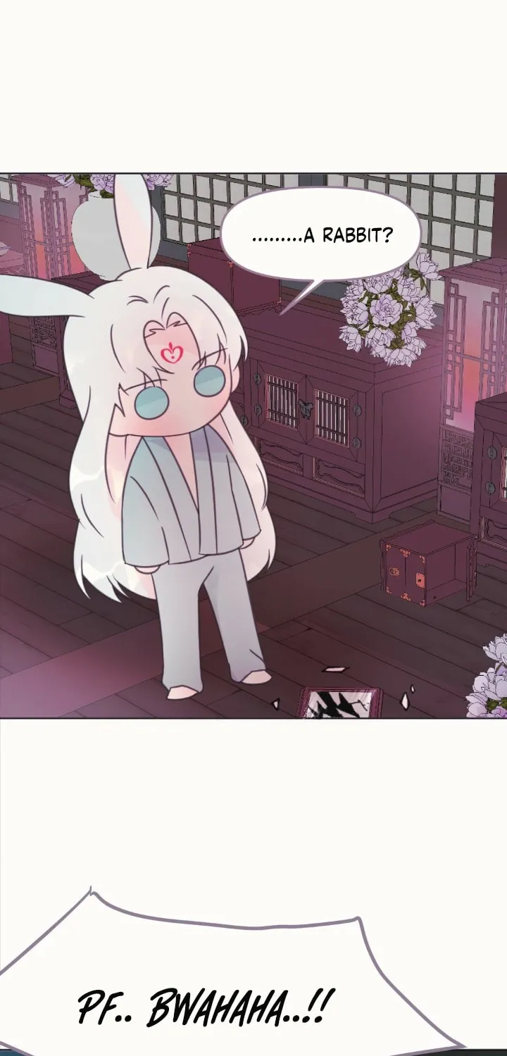 The Baby Dragon and the Rabbit Spirit Chapter 6 page 72 - 