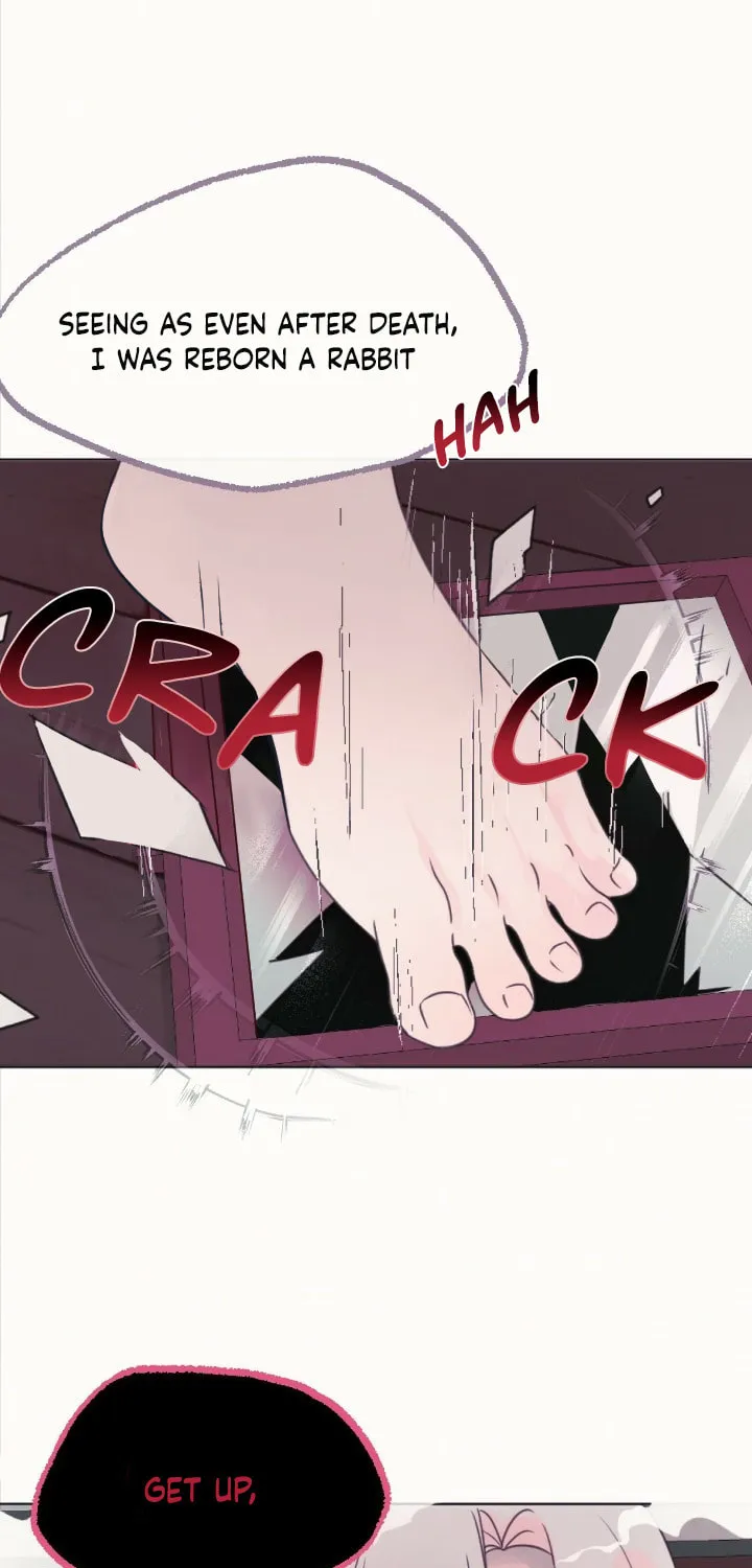 The Baby Dragon and the Rabbit Spirit Chapter 6 page 75 - 