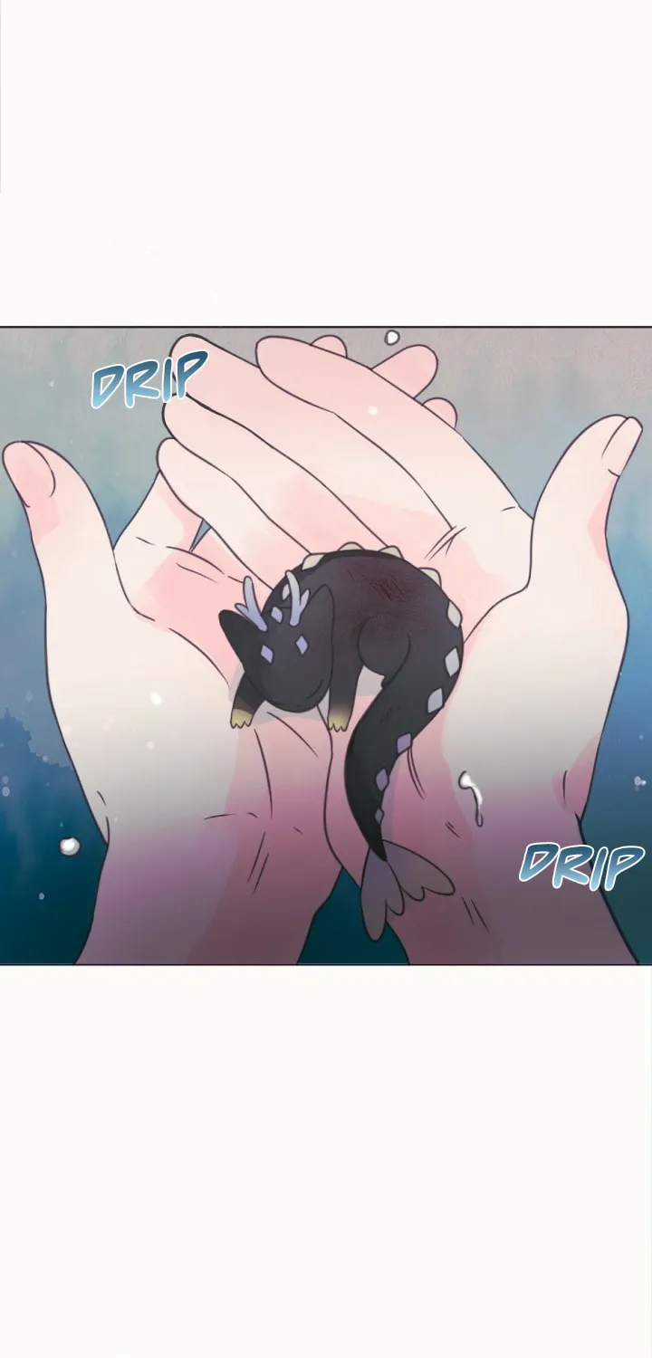 The Baby Dragon and the Rabbit Spirit Chapter 7 page 20 - 