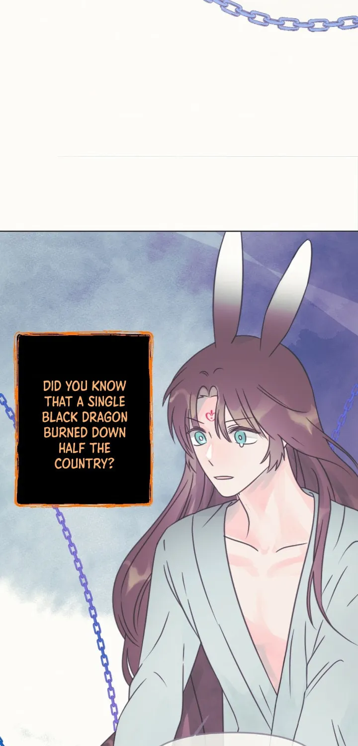 The Baby Dragon and the Rabbit Spirit Chapter 7 page 39 - 