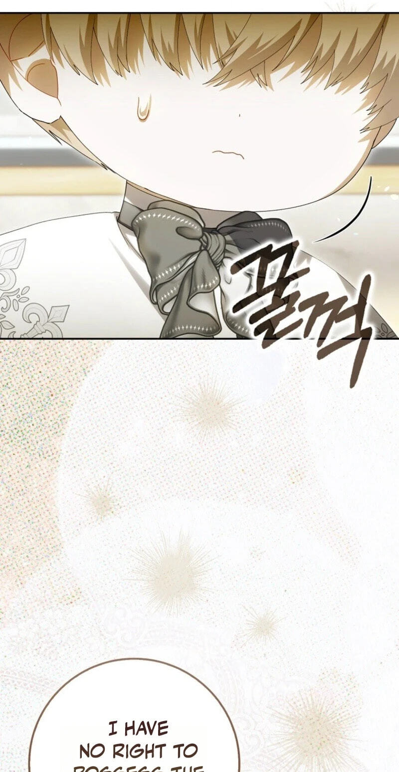The Baby Fairy is a Villain Chapter 75 page 73 - 