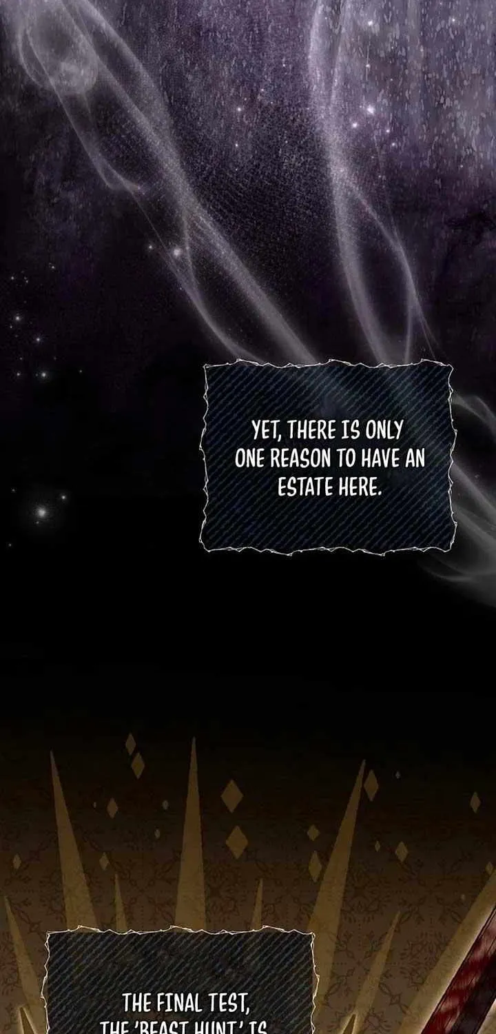 The Bastard's Revenge in the House of Magic Chapter 37 page 47 - 