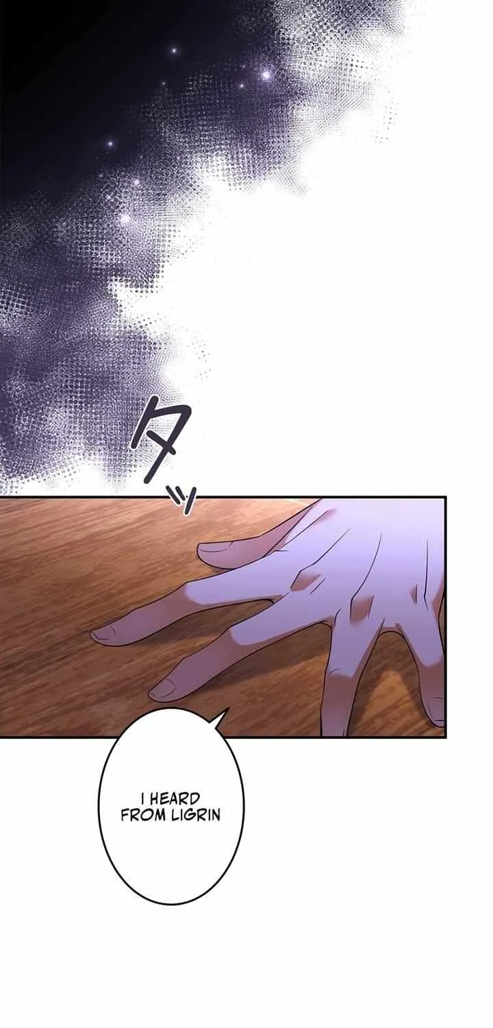 The Bastard's Revenge in the House of Magic Chapter 6 page 28 - 