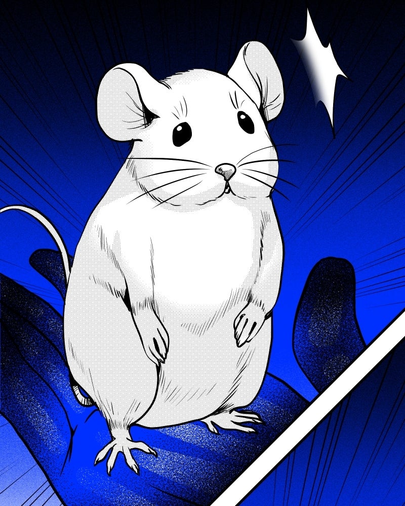 The Bathroom Ghost Ep. 40 - Rats page 15 - 