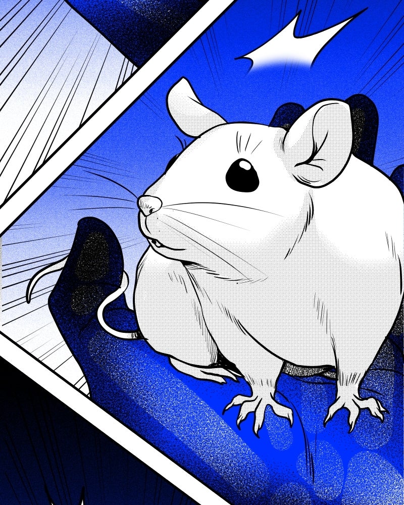 The Bathroom Ghost Ep. 40 - Rats page 16 - 