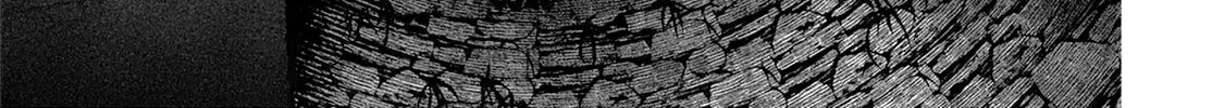 The Beautiful Ones Chapter 0 page 8 - 
