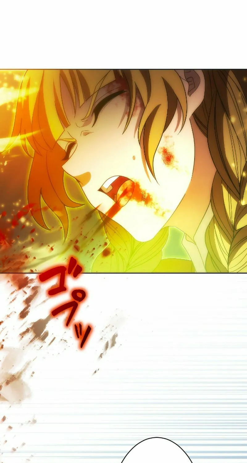 The Beginner, Formerly Ranked Number One in the World Chapter 45 page 33 - 
