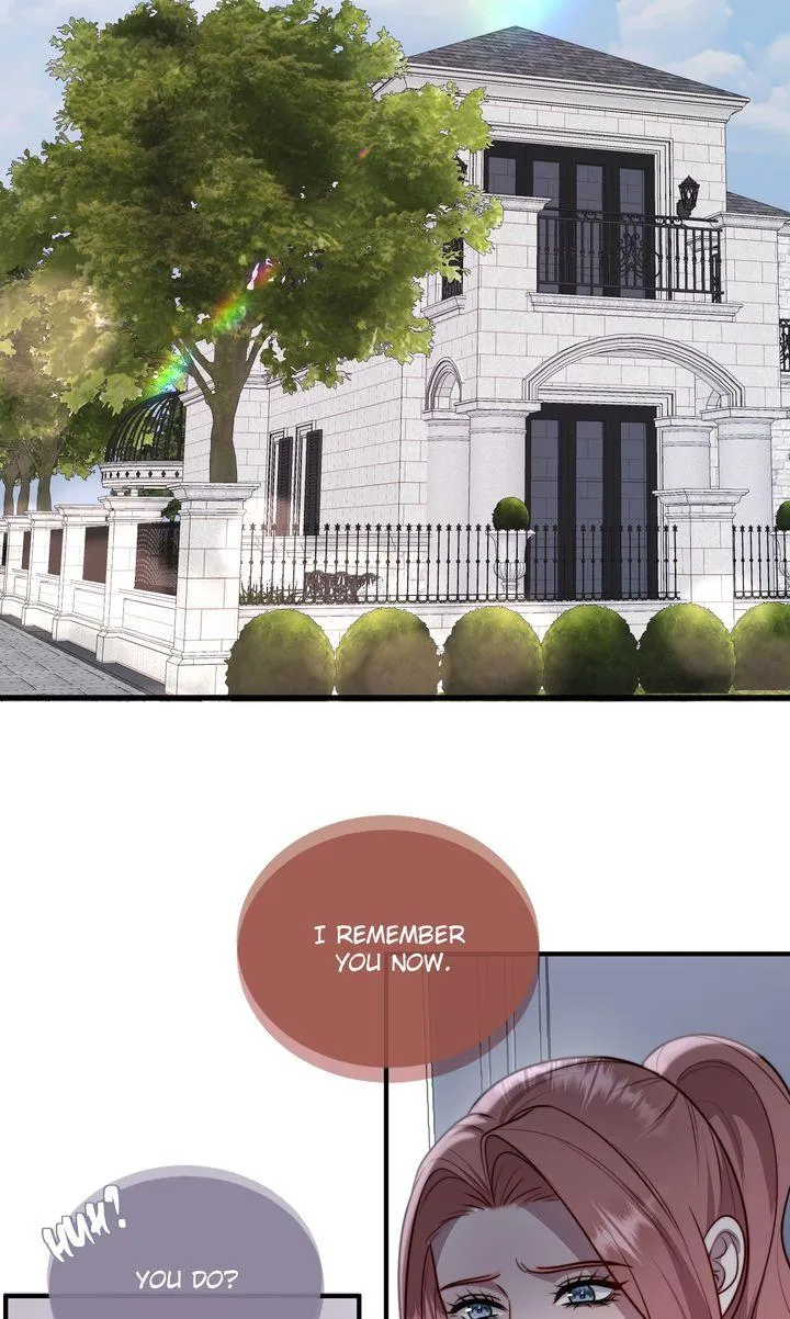 The Billionaire’s Replacement Wife Chapter 91 page 31 - 