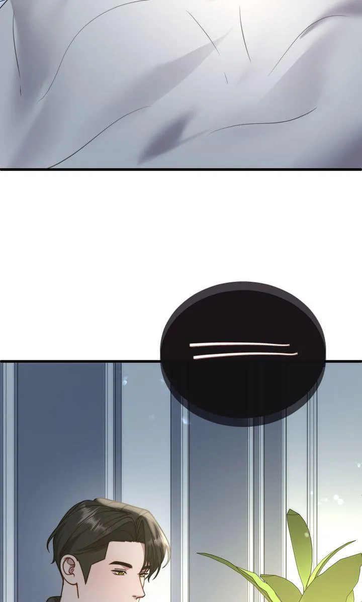 The Billionaire’s Replacement Wife Chapter 94 page 19 - 