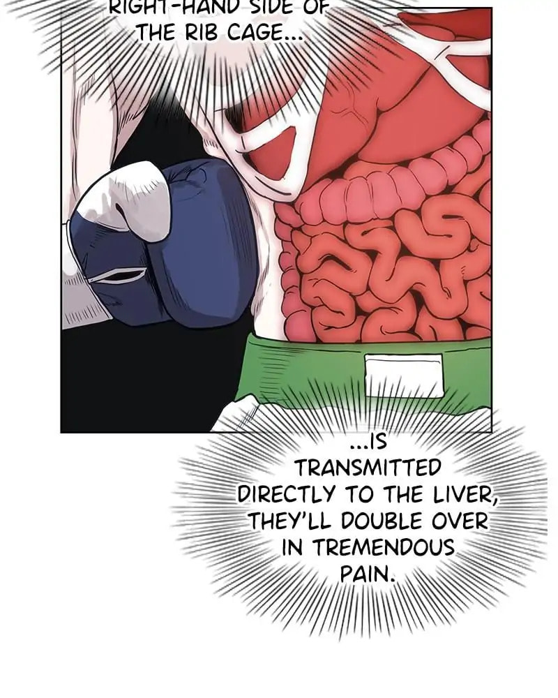 The Boxer Chapter 111 page 63 - 