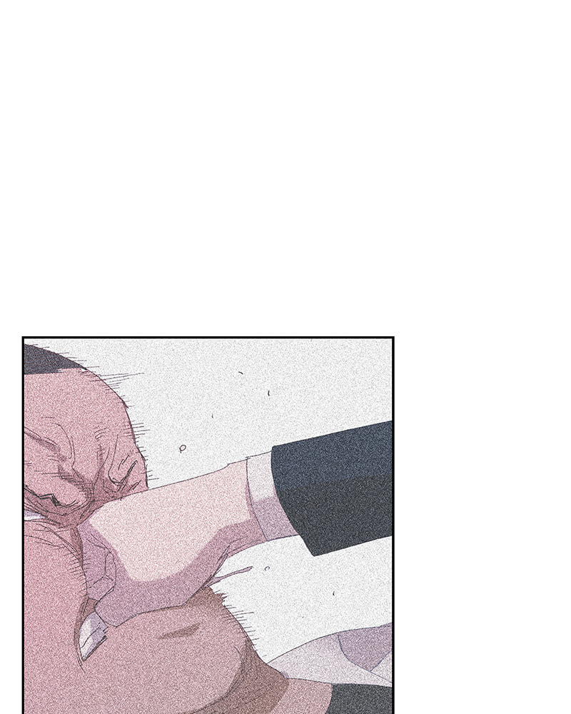 The Boxer Chapter 113 page 79 - 