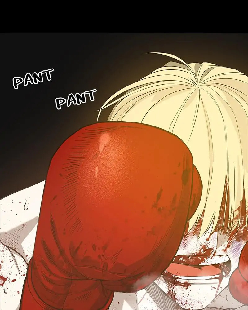 The Boxer Chapter 99 page 146 - 