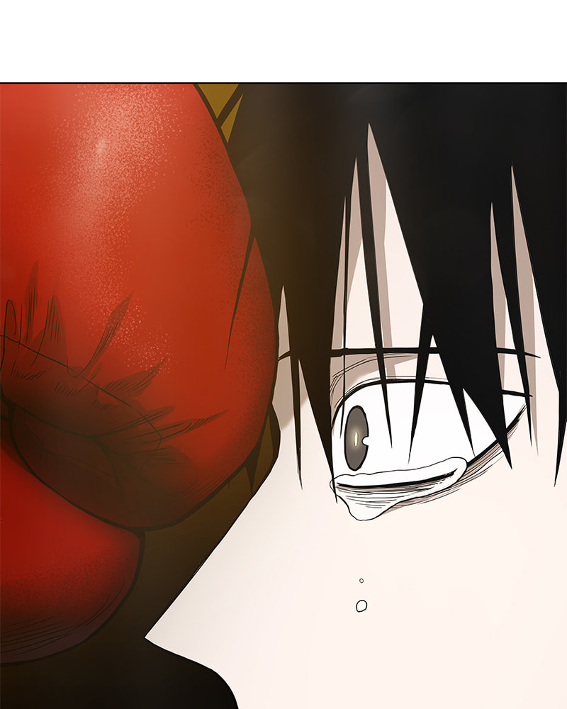 The Boxer Chapter 103 page 249 - 