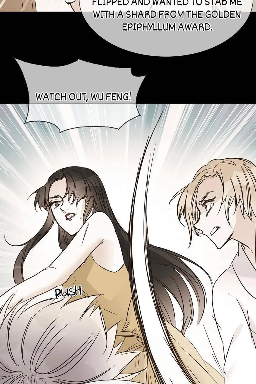 The Broken Star Chapter 75 page 39 - 