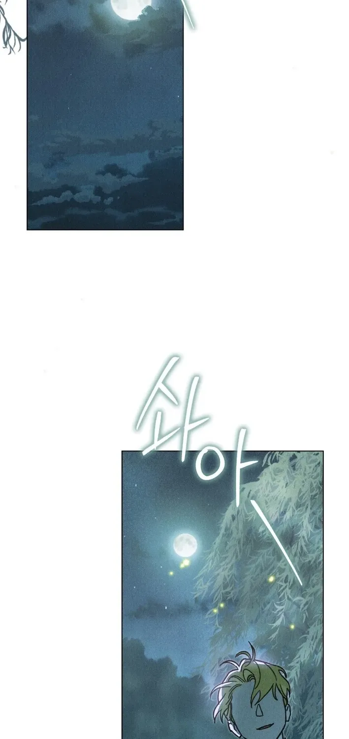 The Butterfly That Swallowed the Fog Chapter 29 page 66 - 