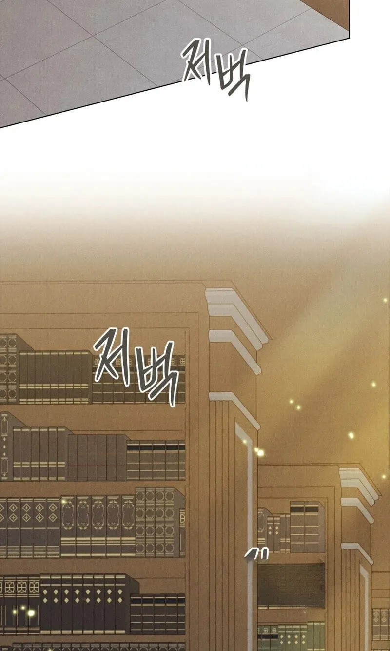 The Butterfly That Swallowed the Fog Chapter 37 page 2 - 