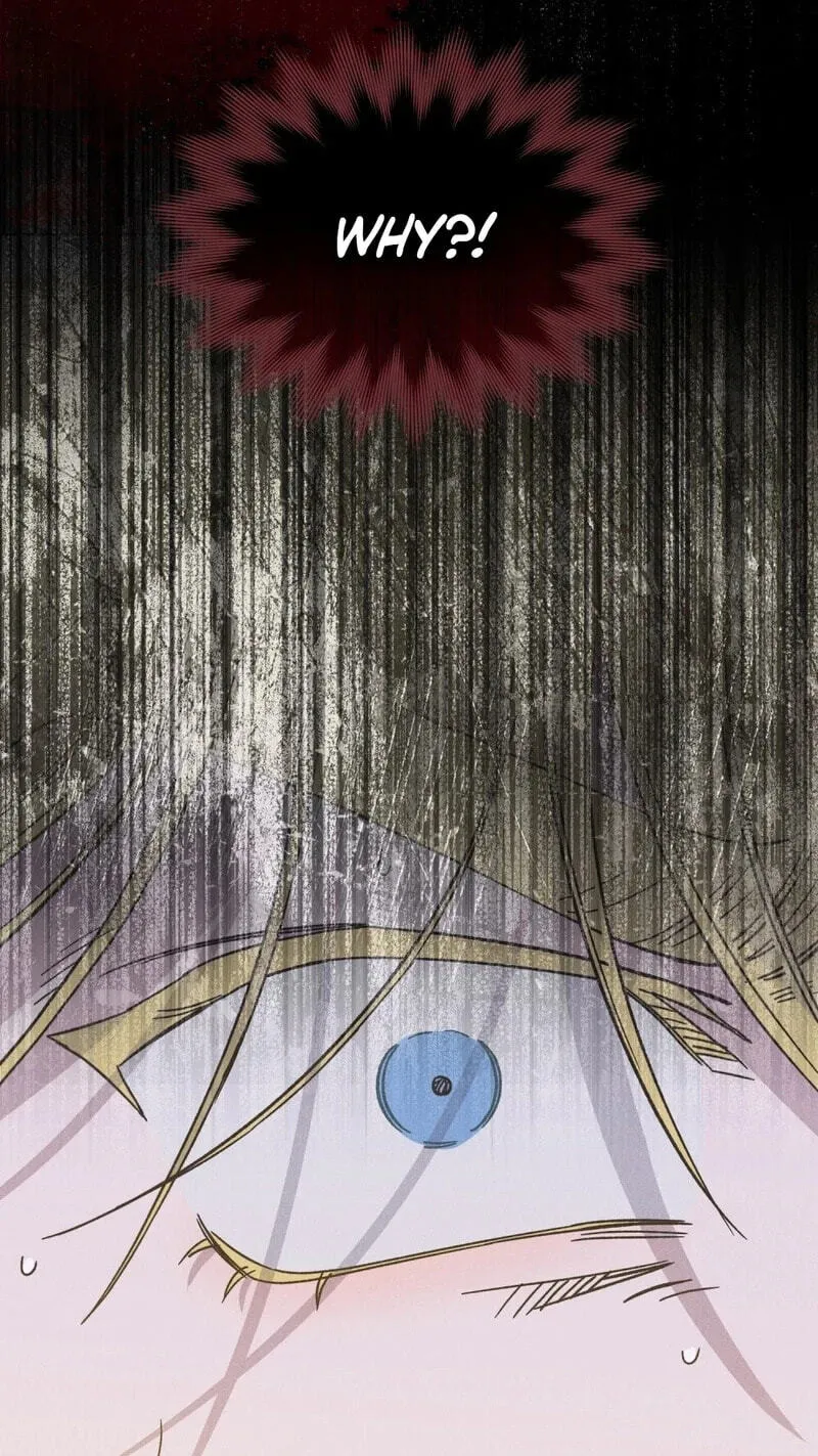 The Butterfly That Swallowed the Fog Chapter 37 page 66 - 