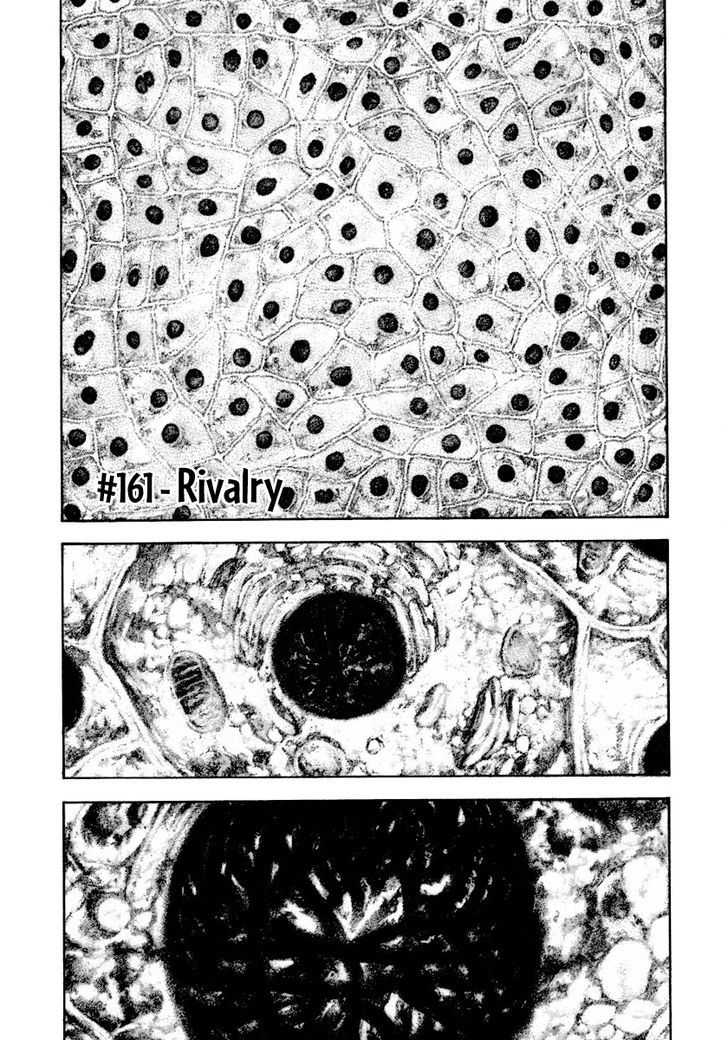 The Climber Chapter 161 page 3 - 