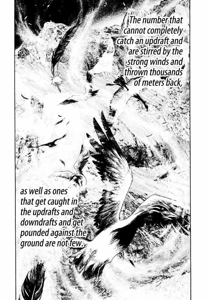 The Climber Chapter 168 page 13 - 