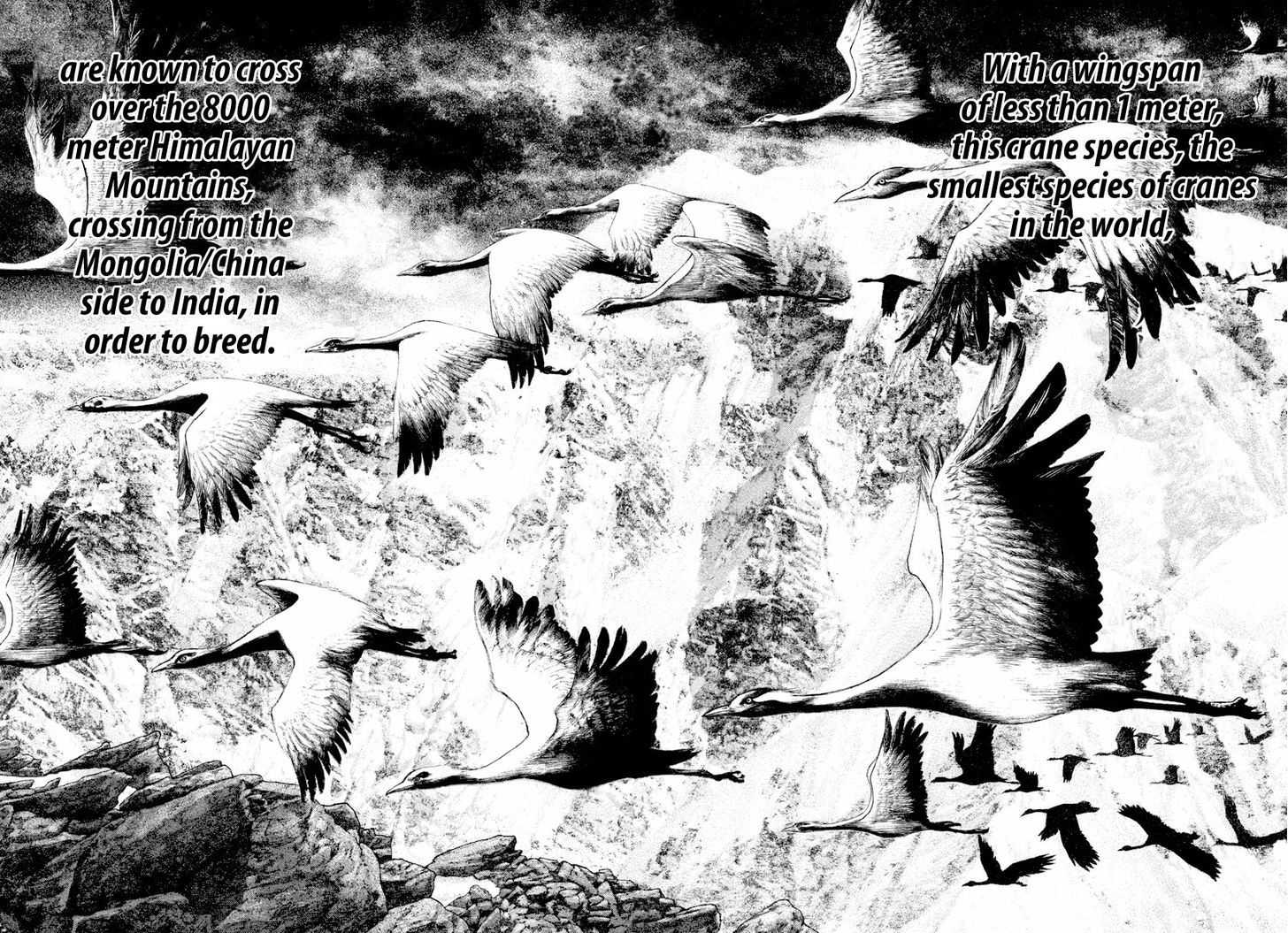 The Climber Chapter 168 page 10 - 