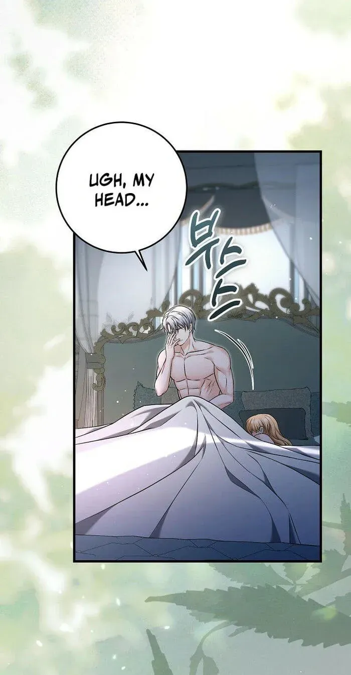 The Countess’s Secret Chapter 39 page 12 - 