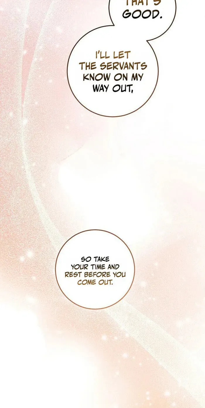The Countess’s Secret Chapter 39 page 27 - 