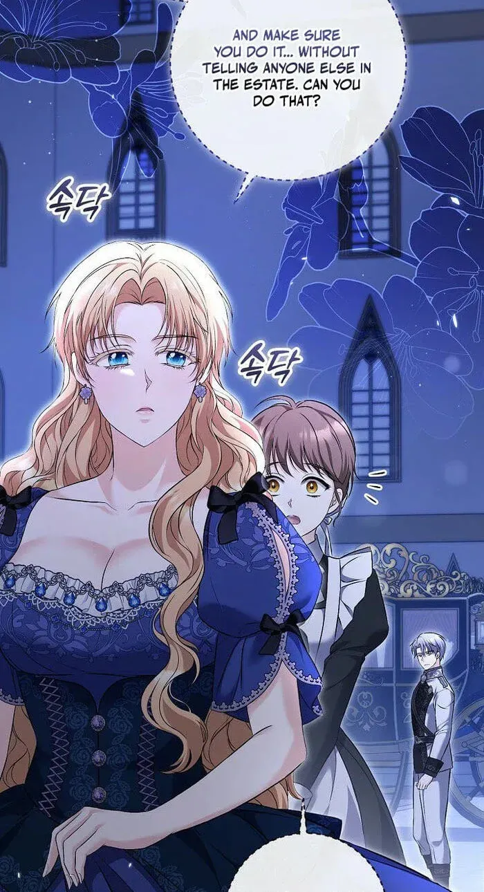 The Countess’s Secret Chapter 39 page 68 - 