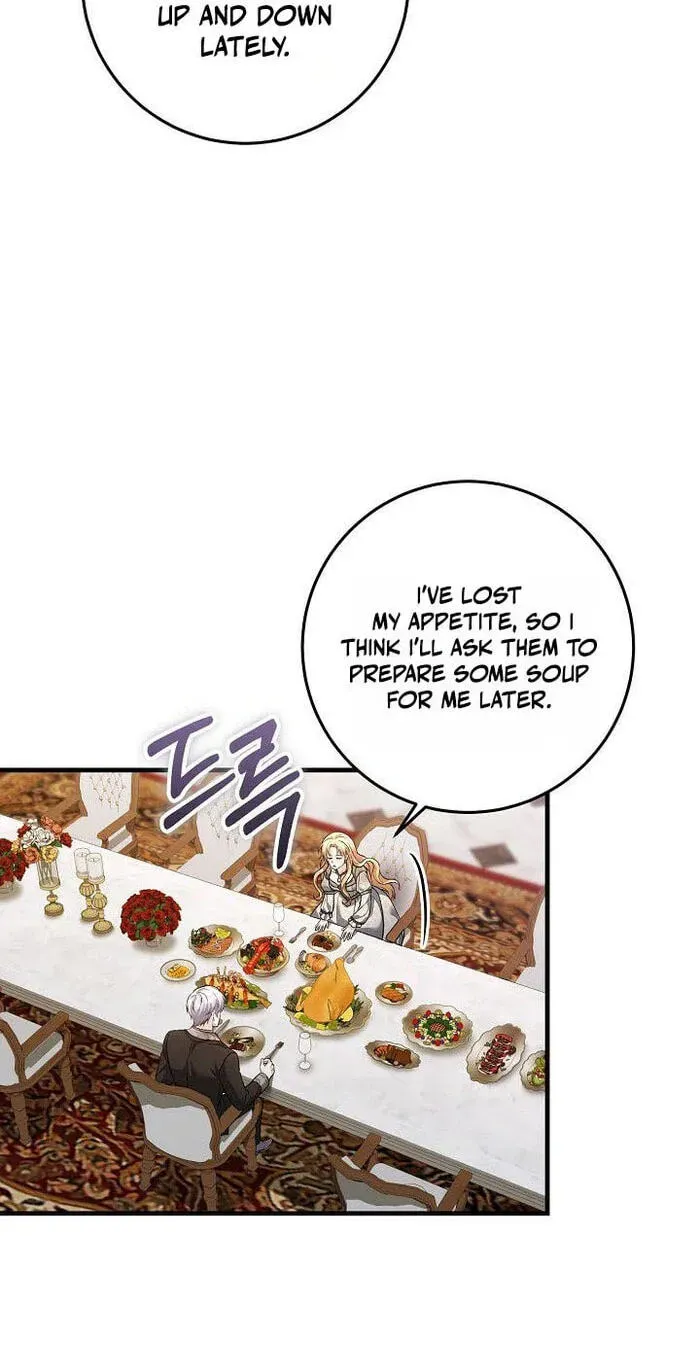 The Countess’s Secret Chapter 40 page 28 - 