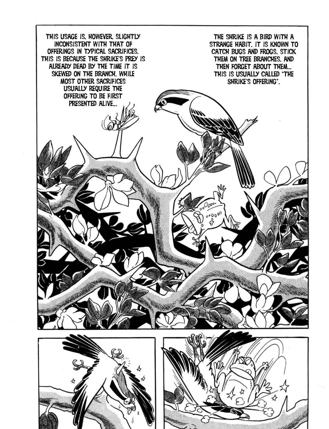 The Crater Chapter 5 page 1 - 