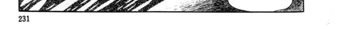 The Crater Chapter 8 page 16 - 
