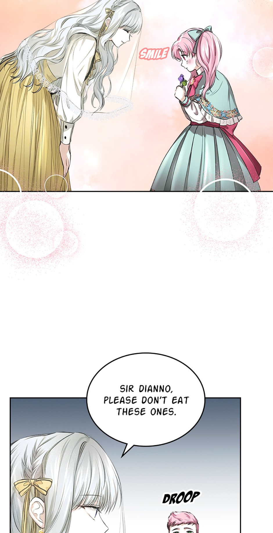 The Crown Prince's Fiancée Chapter 13 page 17 - 