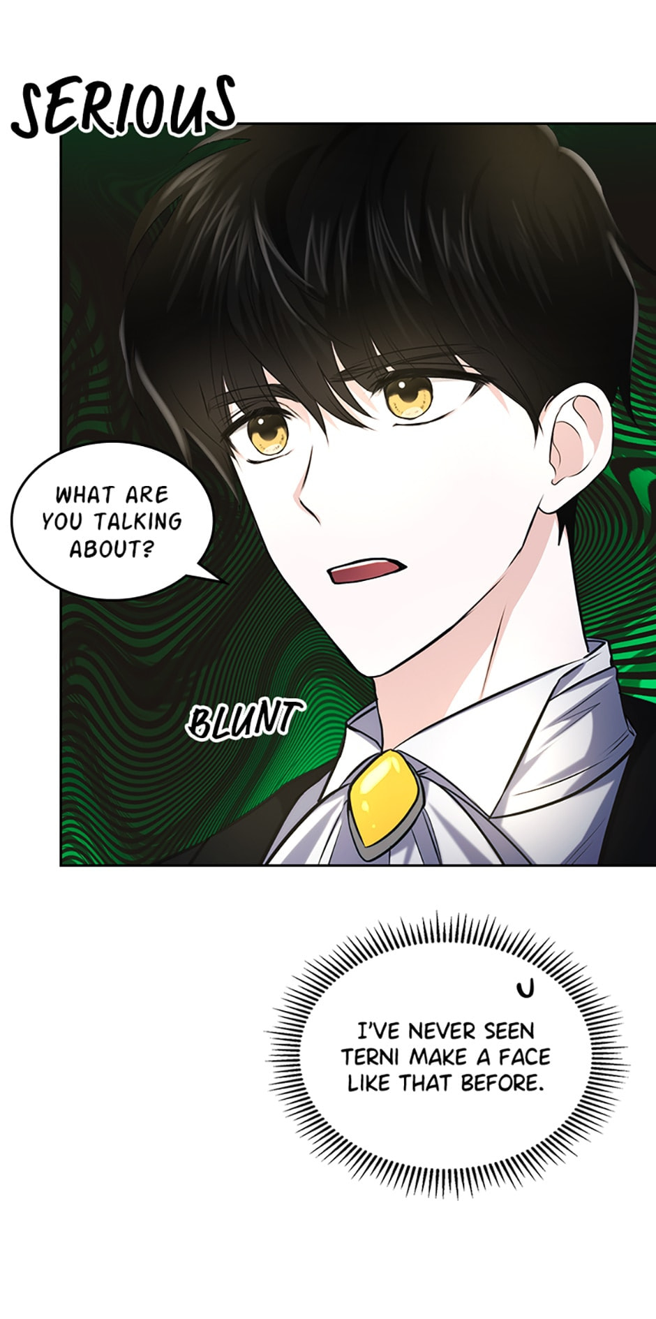 The Crown Prince's Fiancée Chapter 21 page 33 - 