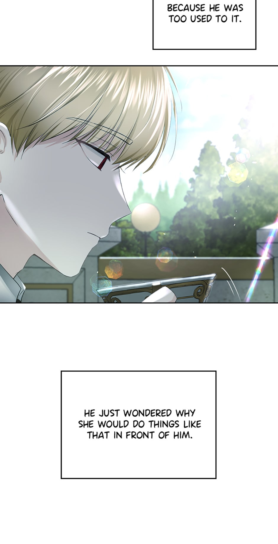 The Crown Prince's Fiancée Chapter 8 page 28 - 