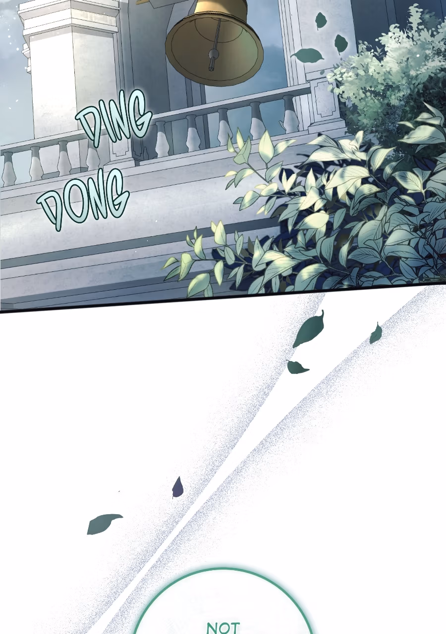 The Cursed Beauty Chapter 1 page 2 - 