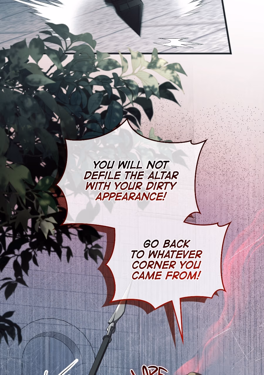 The Cursed Beauty Chapter 1 page 35 - 