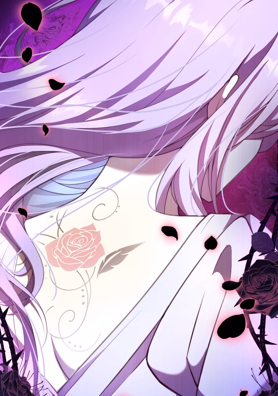 The Cursed Beauty Chapter 1 page 95 - 