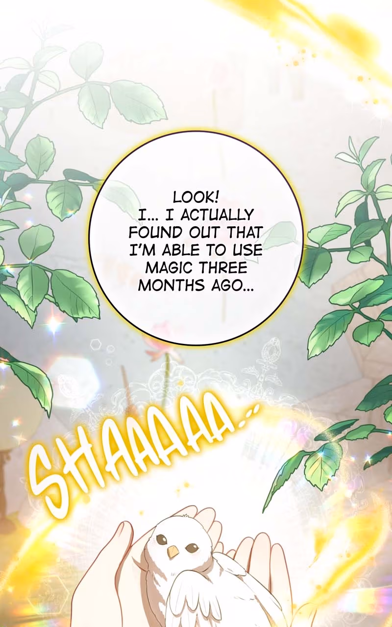 The Cursed Beauty Chapter 3 page 104 - 